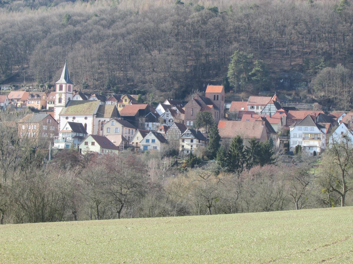 Gite L'Instant Durable Oberbronn Exterior photo